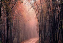 开云体育入口-火箭收割新疆队，哈登成为胜负手