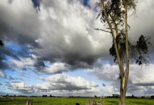 开云体育中国-涅槃时刻，总决赛之夜，杜兰特如何完成一场关于信念与救赎的史诗