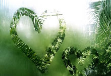 开云体育官方网站-若日尼奥点射定乾坤，巴黎战术纪律强势锁定加纳新星